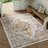 Elaine Washable Vintage  Fashion Rug for Living Room  with Non-Slip Backing-1984677958