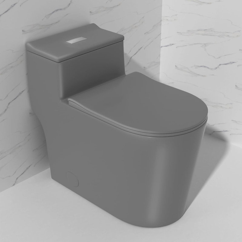 Toilettes confortables gris mat, design moderne en porcelaine, idéales pour un usage domestique