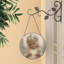 Window Panel-1685228780