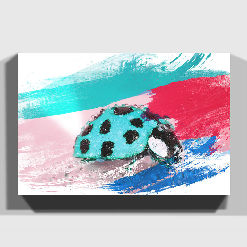 Blue Ladybird - Wrapped Canvas, 35cm H x 50cm W