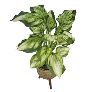 Mistana™ 28'' Faux Foliage Plant in Basket & Reviews | Wayfair