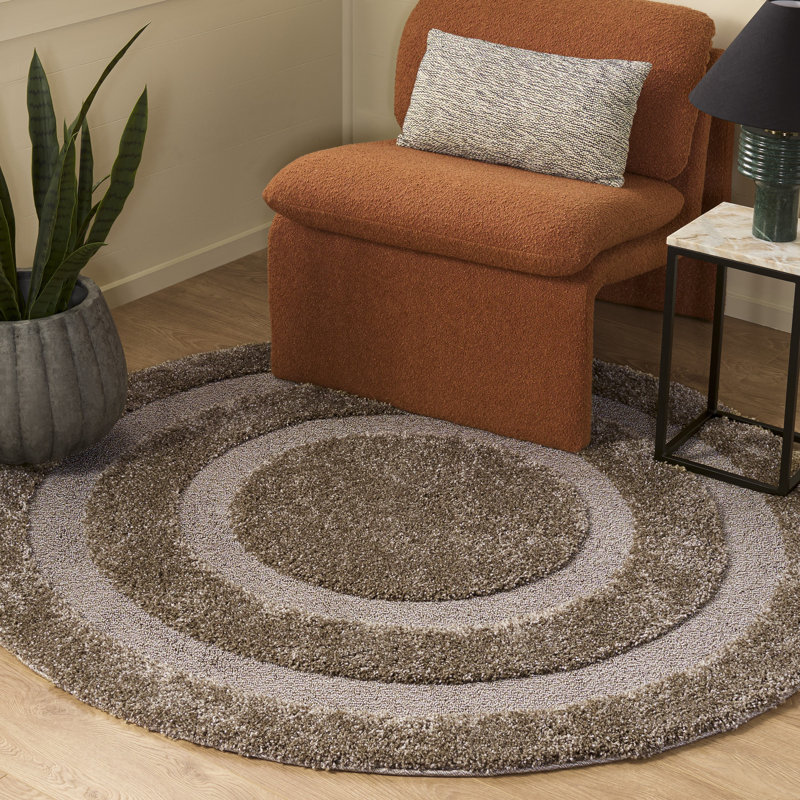 Tapis à poil long de couleur unie Florida Drennen, Rond 5 pi