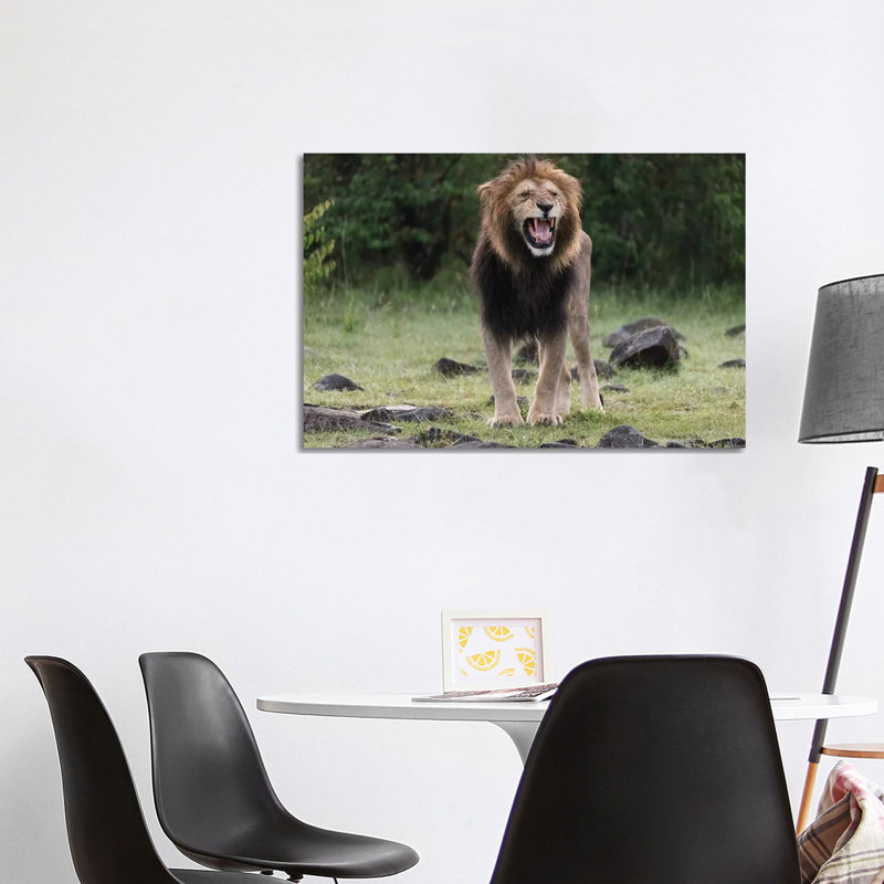 Africa, Kenya, Maasai Mara National Reserve by Jaynes Gallery - Wrapped Canvas Print, 66.04cm H x 101.6cm W x 1.905cm D