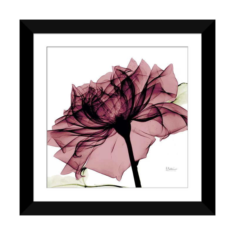 « chianti rose i », impression sur toile, H 16 po x l 16 po x P 1 po, Papier d'art encadré noir, Blanc