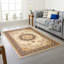 Amrudin Oriental Area Rug-1676834676