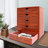 5-Drawer Wood Storage Drawer