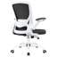 Home Office Ergonomic Mesh Task Chair-1968346830