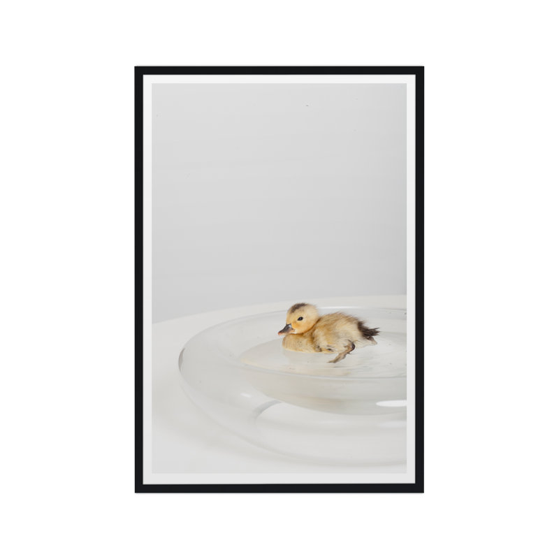 Étang de canard, Noir, Lustre photo encadré, 40" H x 27" W x 1.5" D