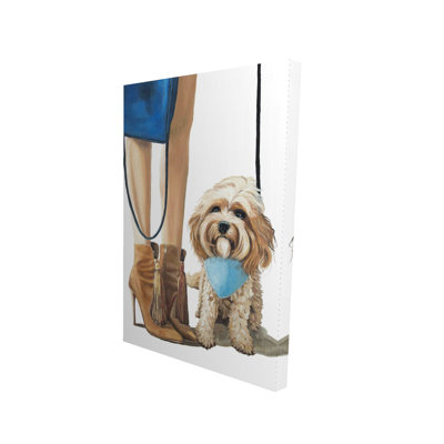 Chien Cavoodle tendance - toile beige