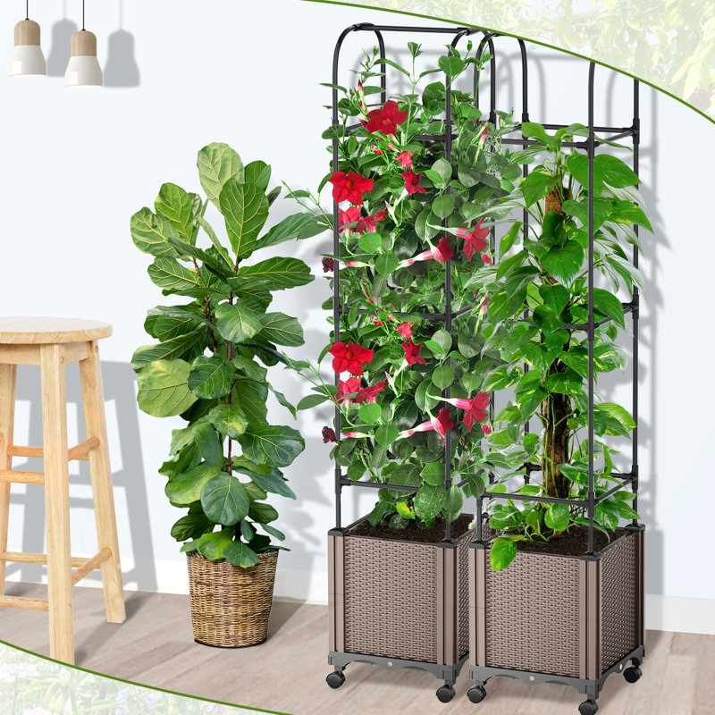 Boîte à fleurs surélevée avec treillis et jardinière avec arrosage