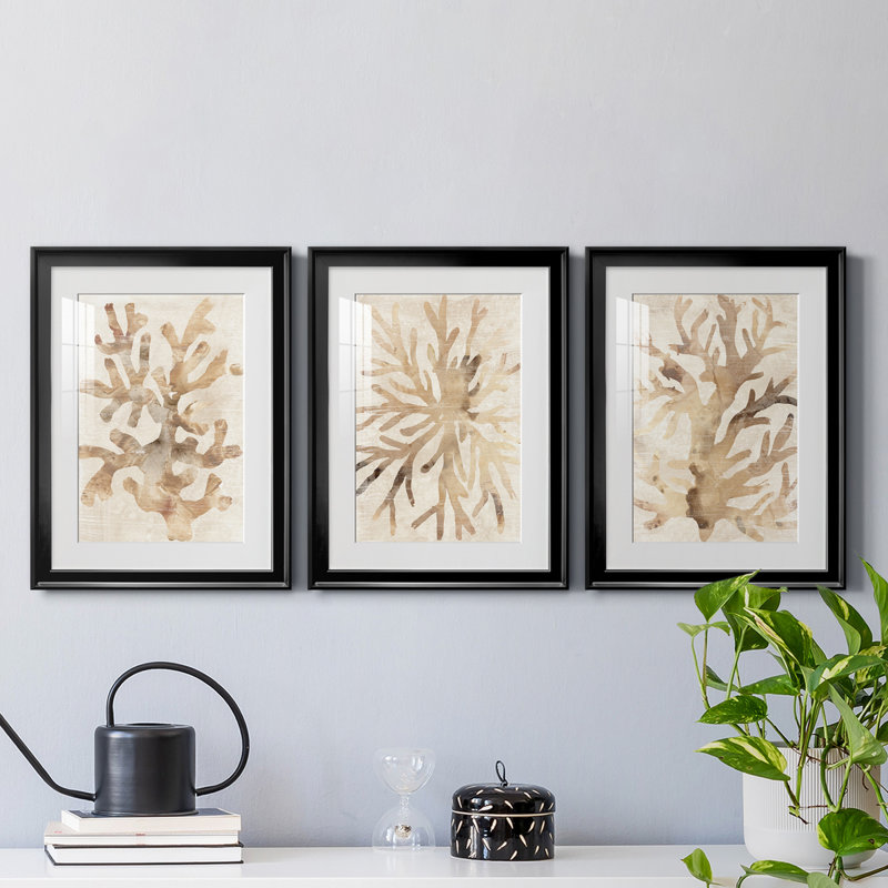 Parchment Coral I - ensemble de 3 cadres photo, H 24,5 po x l 55,5 po x P 1 po, Cadre noir