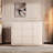 Modern Simple Shoe Cabinet Side Cabinet 18 Pair Shoe Storage Cabinet