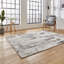 Apollo area rug Machine Woven Rectangle
