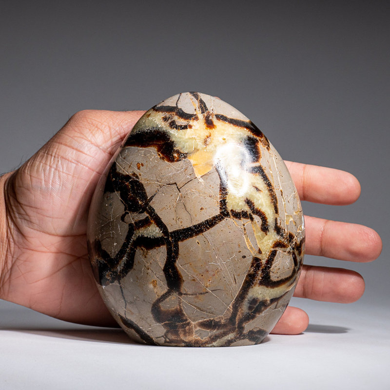 Forme libre de septaire poli de Madagascar (2,6 lb)