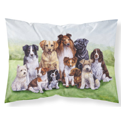 Taie d’oreiller chiens