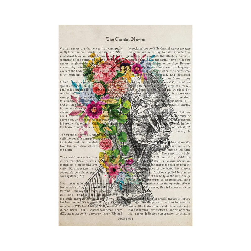 «Cranial Nerves Flower Anatomy Print» par - Toile tendue, H 60 po x l 40po x P 1,5 po