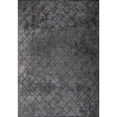 Rapture Trellis Area Rug in Gray
