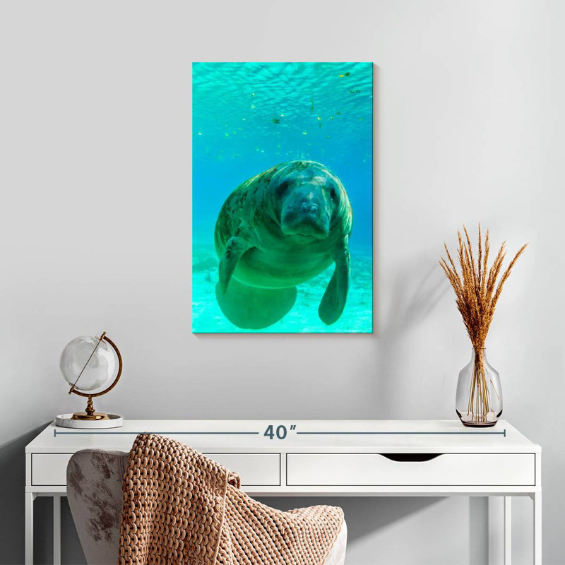 Brampt Swimming Manatee, 24" H x 16" W