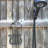 Aguiar Metal Weather Resistant Caddy Plant Stand