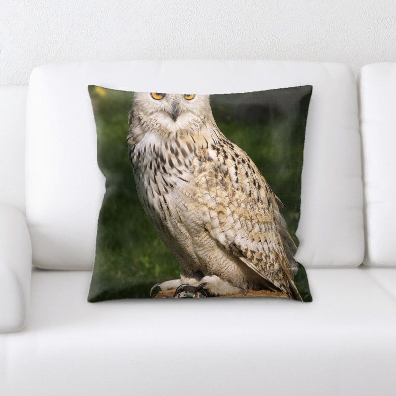 Coussin hibou eagle