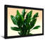 «Plants & Flowers Green Leaves Plant», reproduction d'art-695809806-695809812-695809811