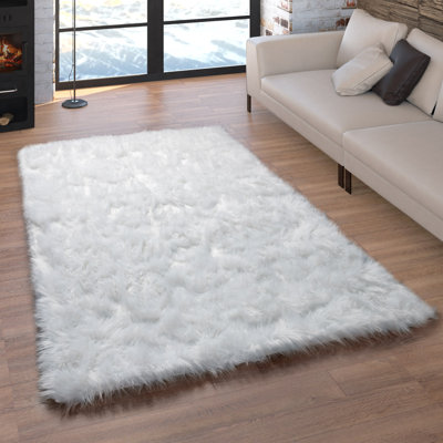 Bruton Hand Woven Area Rug