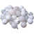 Winter White is out of stock selected