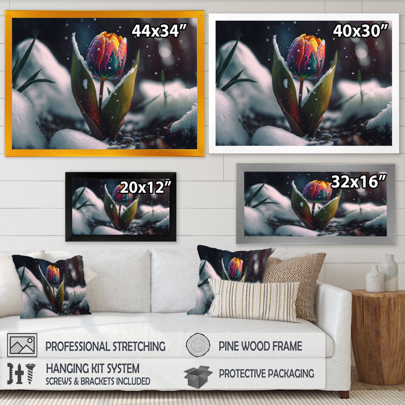«A Blooming Multicolor Tulip Flower in Winter I», impression sur toile, H 12 po x l 20 po x P 1 po