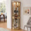 Vitrine d'angle vitrée d'angle pour vitrine d'angle pour salon, armoire vitrée, collection Antique, vin, éclairage de bar en verre inclus, chêne clair