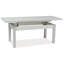 Zeman Lift Top Four Leg Coffee Table-31319098