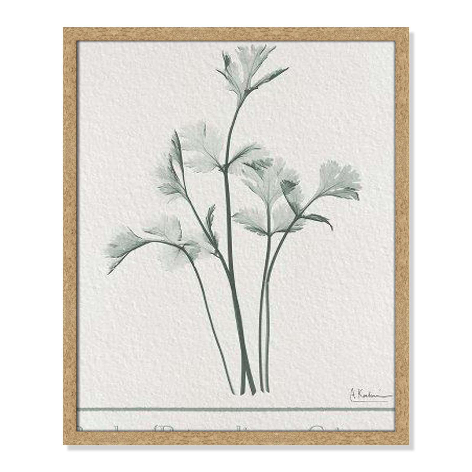 Jeanette "Parsley II" Print by Albert Koetsier, 25.5" H x 21.5" W x 1.25" D, Natural Framed Paper