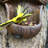 Pinesdale Decorative Bird Feeder