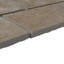 Carreau de mosaïque florentin 2 "x 4" Nociolla