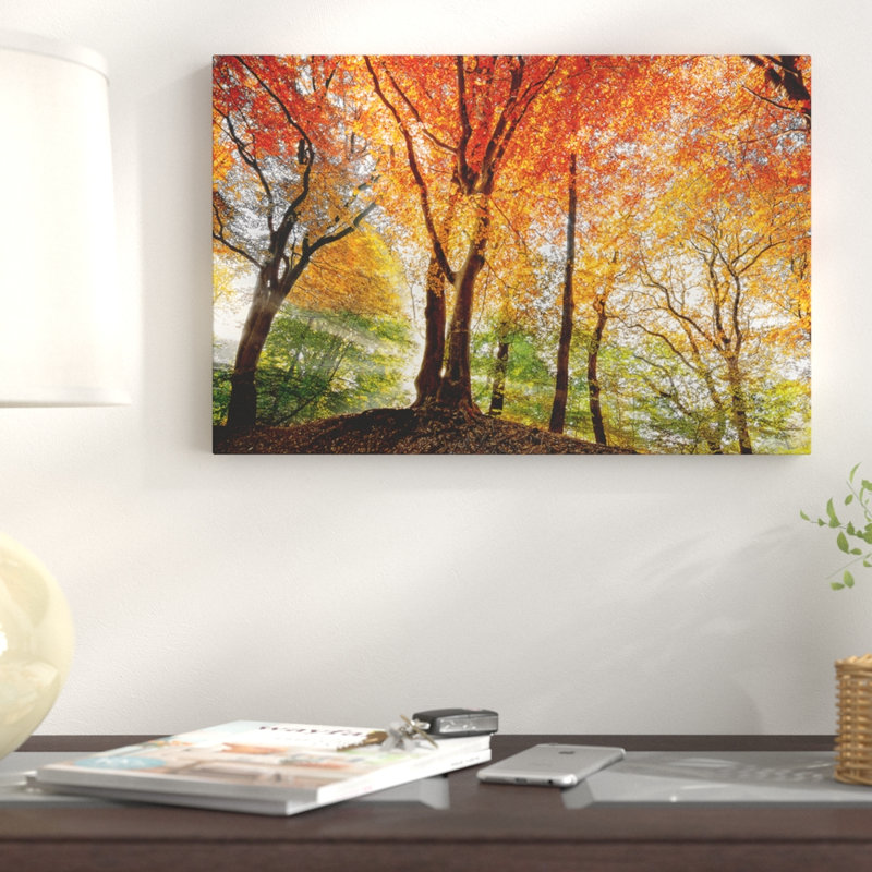 Prisme de la lumière - reproduction de photo sur toile, H 12 po x l 18 po x P 1,5 po