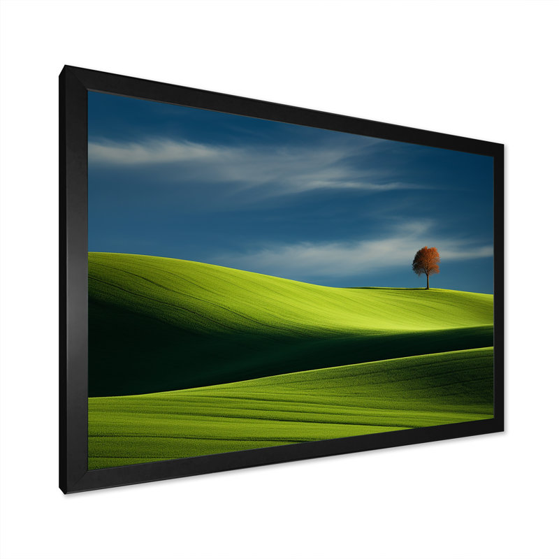«Green Monicol Meadow», photo I sur toile, H 34 po x l 44 po x P 1,5 po, Cadre simple noir
