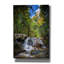 'Autumn In The Maine Woods' by Rick Berk Canvas Wall Art-1493514116
