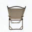 Ensemble de 4 chaises portatives pliables avec structure en aluminium, grain de chêne, accoudoirs en bois de hêtre, assise en toile