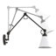 Cessna 2 - Light Swing Arm Wall Sconces-1352978586-1476311167