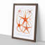 Star Fish Varieties by Albert I - Framed Print-55615616-55615620