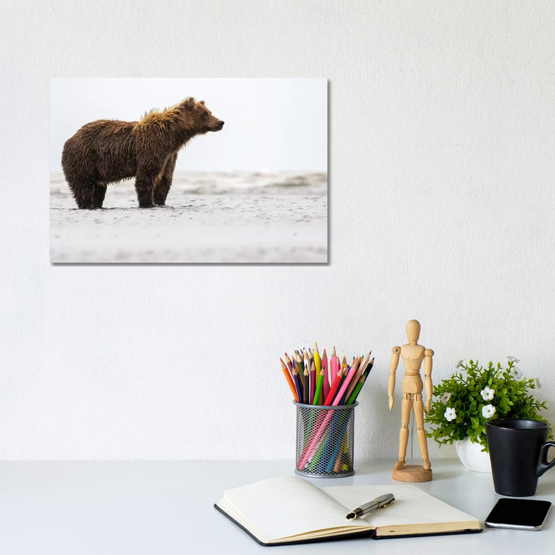 Bear In The Water by Eric Fisher - Wrapped Canvas Gallery-Wrapped Canvas Giclée, 20.32 cm H x 30.48 cm W