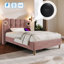 Single Upholstered Bed 3FT Single Velvet 1 Piece Beige - LED Lighting, USB & Type-C Charging, Velvet Upholstery-513020312