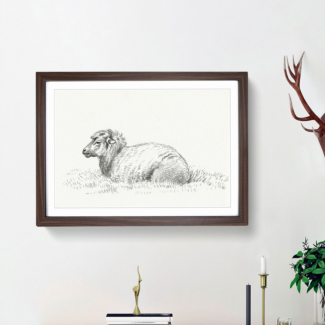 Lying Sheep by Jean Bernard - Framed Print
