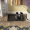 Rachel Indoor Doormat