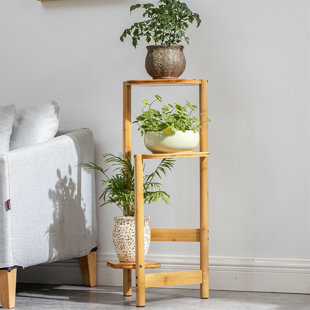 Plant Stands Tall 