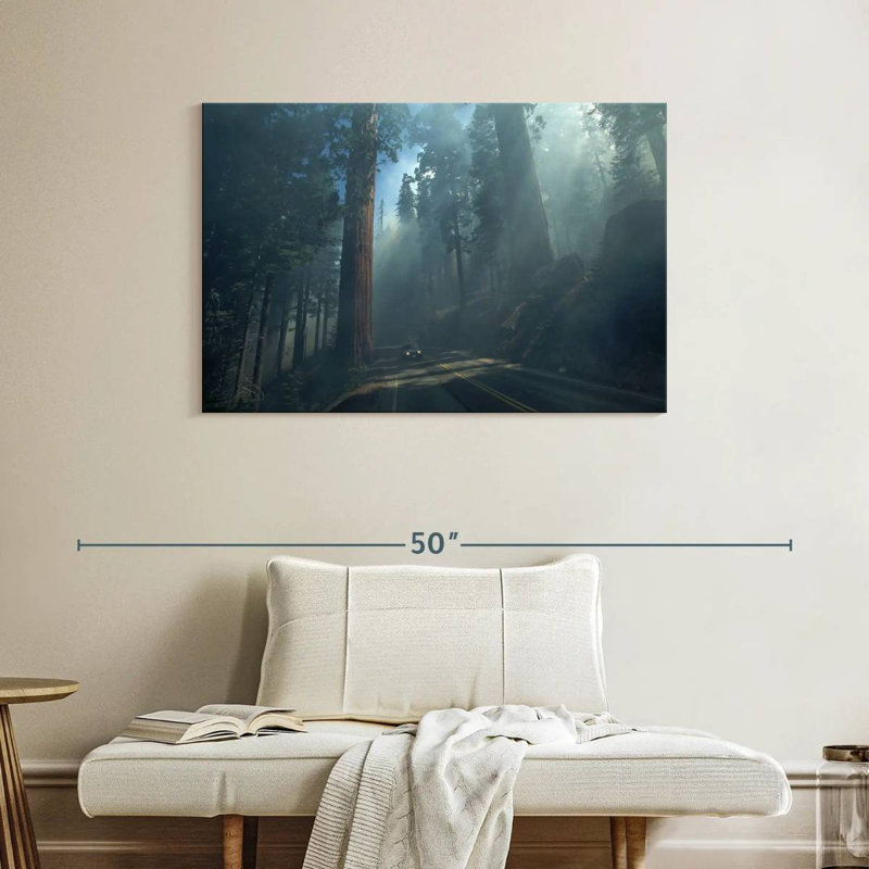 Séquoia Harnek et arbres Kings Canyon, H 26 po x l 39 po
