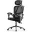 Fauteuil de bureau ergonomique avec support lombaire Erin
