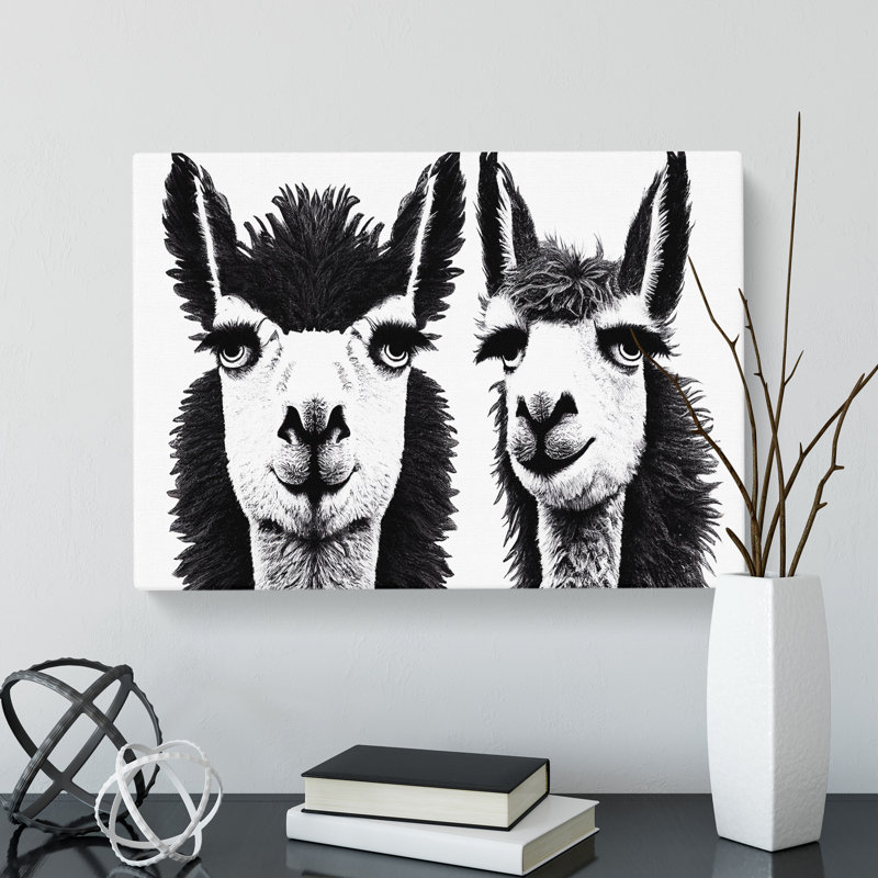 Flawless Llamas - Wrapped Canvas, 35cm H x 50cm W x 3cm D