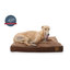 Tapis mémoire Johnone-32479361-32479364