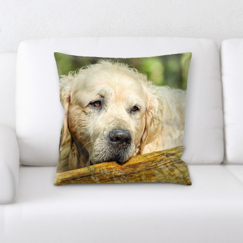 Coussin décoratif golden retriever