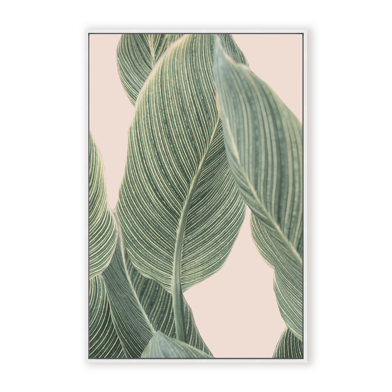 Coastal Retreat Calla Leaf by  - Picture Frame Graphic Art on Paper, Framed Canvas, Brown, 48" H x 32" W x 2.375" D
